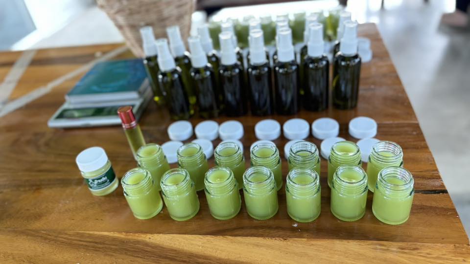 title - ส.ป.ก.อ่างทอง จัดอบรมโครงการยกระดับศักยภาพการพัฒนาสินค้าเกษตรชีวภาพ กิจกรรมยกระดับศักยภาพการเกษตรชีวภาพ ปีงบประมาณ พ.ศ. 2569 หลักสูตร “การเพิ่มประสิทธิภาพการผลิตพืชสมุนไพรในเขตปฏิรูปที่ดิน“